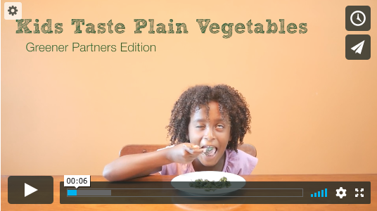 Greener Partners 2017